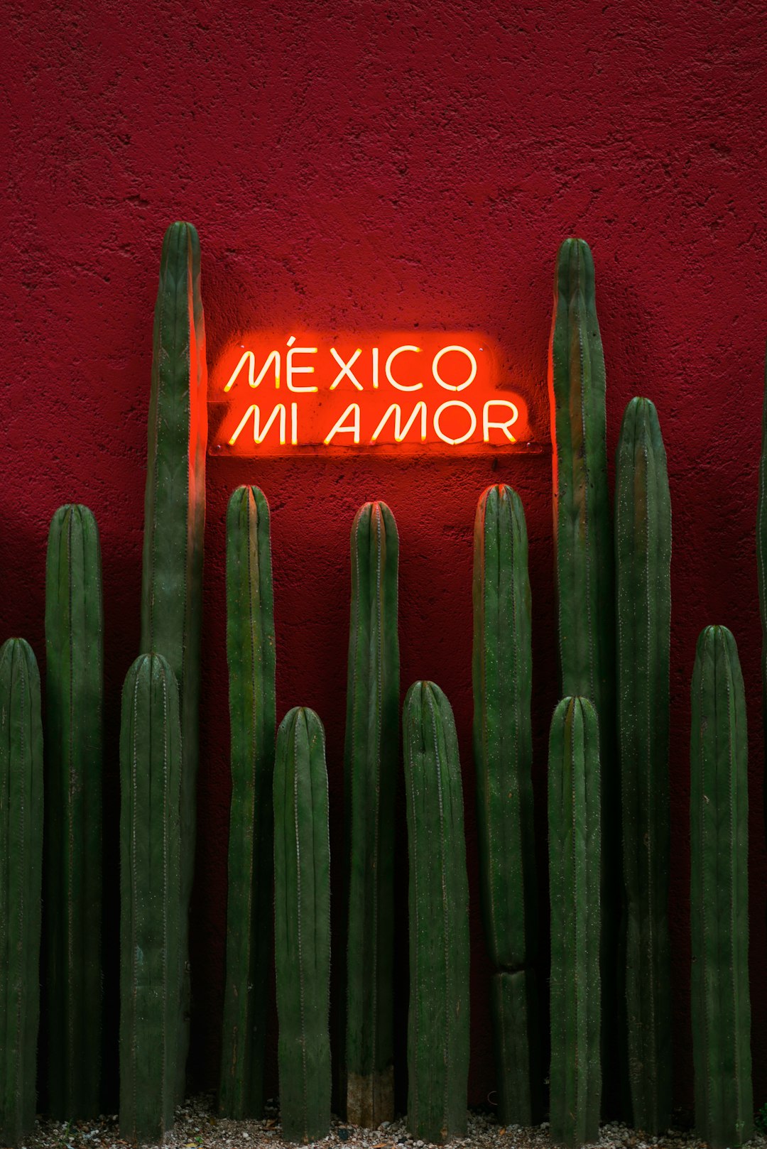 Top 5 cursos de IA en México 2025